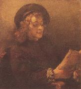 REMBRANDT Harmenszoon van Rijn Titus Reading (mk33) oil painting